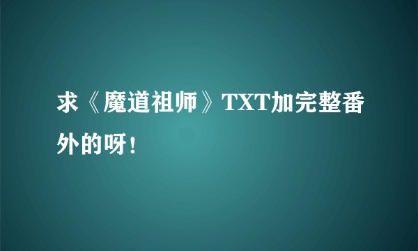求《魔道祖师》TXT加完整番外的呀！