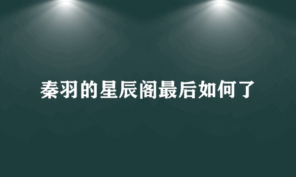 秦羽的星辰阁最后如何了