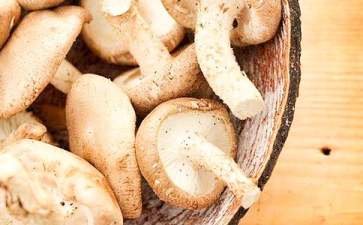 网络用语蓝瘦香菇什么意思
