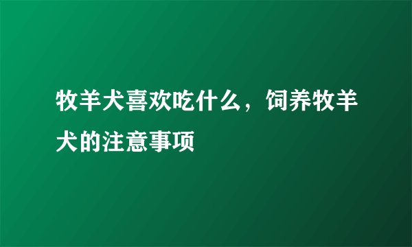 牧羊犬喜欢吃什么，饲养牧羊犬的注意事项