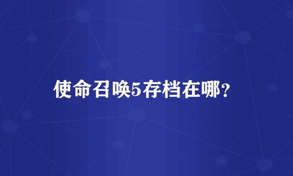 使命召唤5存档在哪？