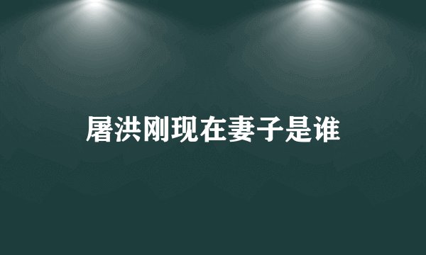 屠洪刚现在妻子是谁