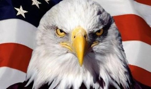 美国的国宝动物是什么？