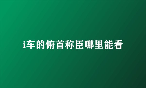 i车的俯首称臣哪里能看