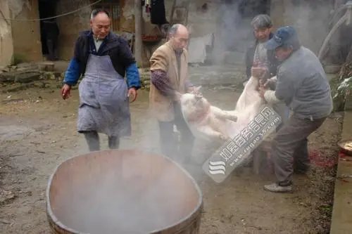 人前是爸人后是狗上热搜，这是个什么梗？