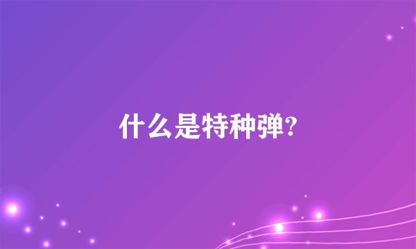 什么是特种弹?