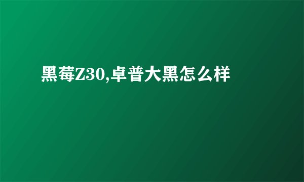 黑莓Z30,卓普大黑怎么样
