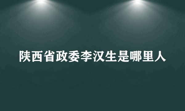 陕西省政委李汉生是哪里人