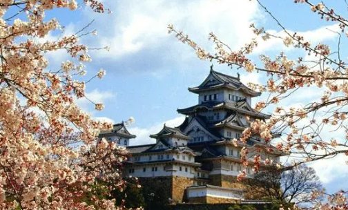 樱花国际日语学校地址