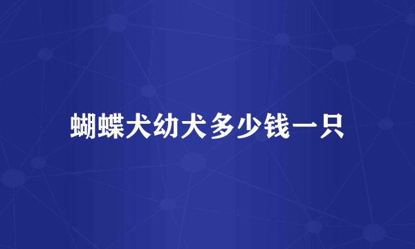 蝴蝶犬幼犬多少钱一只