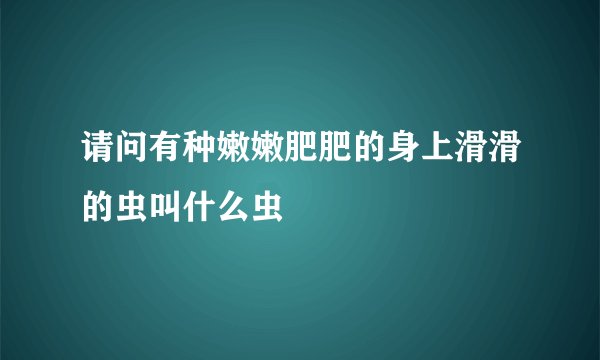 请问有种嫩嫩肥肥的身上滑滑的虫叫什么虫