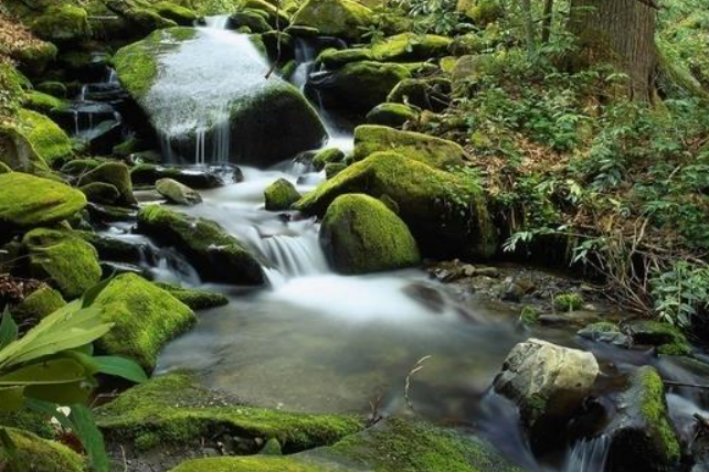 溪的拼音怎么写