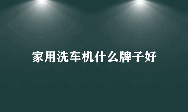 家用洗车机什么牌子好