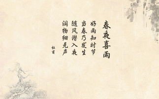 小学四年级语文补习什么最好?