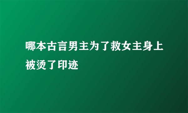 哪本古言男主为了救女主身上被烫了印迹