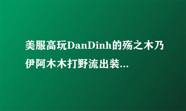 美服高玩DanDinh的殇之木乃伊阿木木打野流出装打法攻略