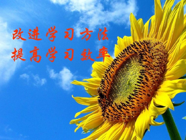 怎样沉迷于学习中