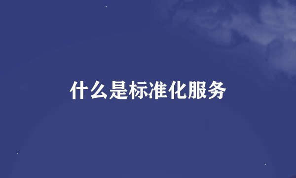什么是标准化服务