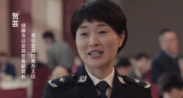 扫黑风暴里面贺局是好的还是坏的