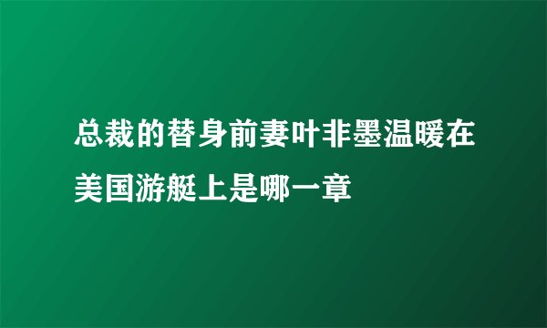 总裁的替身前妻叶非墨温暖在美国游艇上是哪一章
