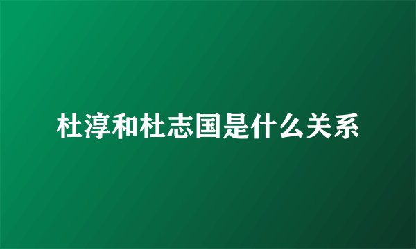 杜淳和杜志国是什么关系