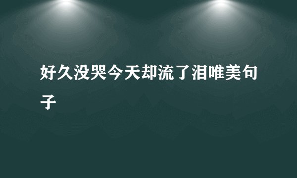 好久没哭今天却流了泪唯美句子