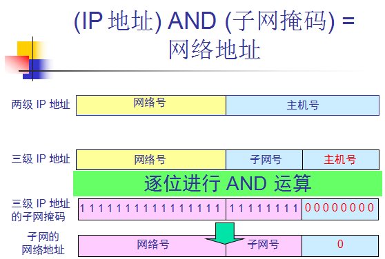 网络号是多少？