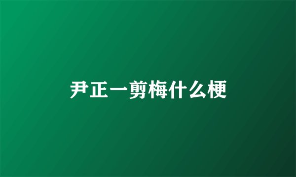 尹正一剪梅什么梗