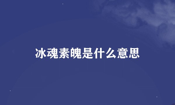 冰魂素魄是什么意思