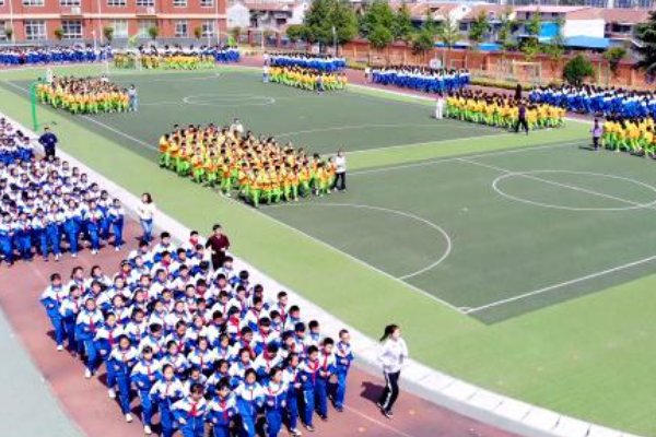 林州桂圆小学是公立的吗