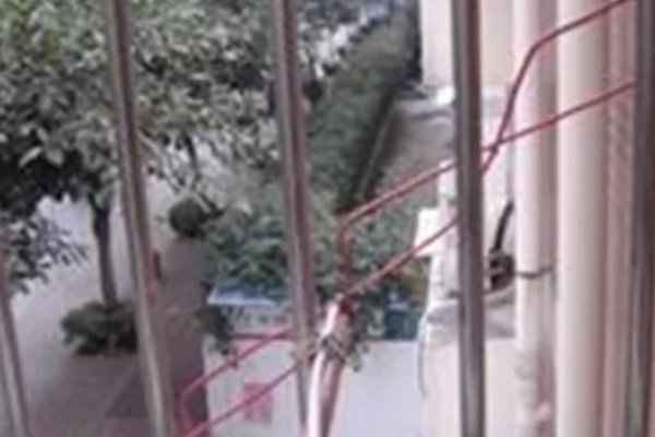 电视天线的制作方法