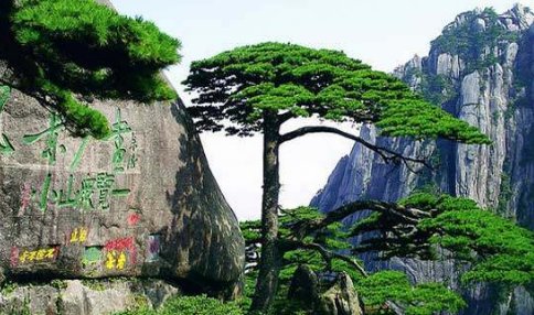 中国的名山大川有哪些