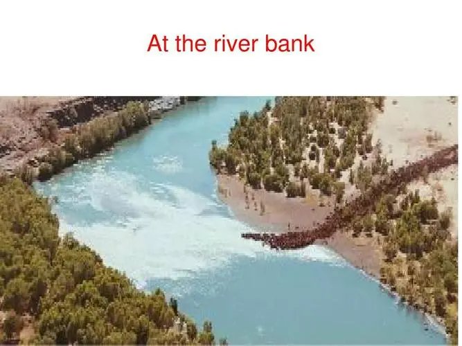 river是什么意思啊