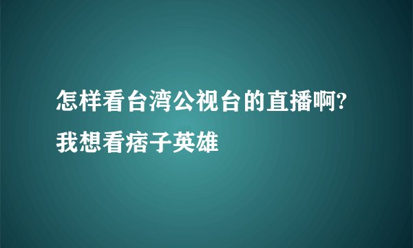怎样看台湾公视台的直播啊?我想看痞子英雄