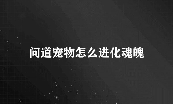 问道宠物怎么进化魂魄