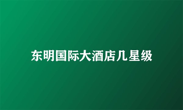 东明国际大酒店几星级