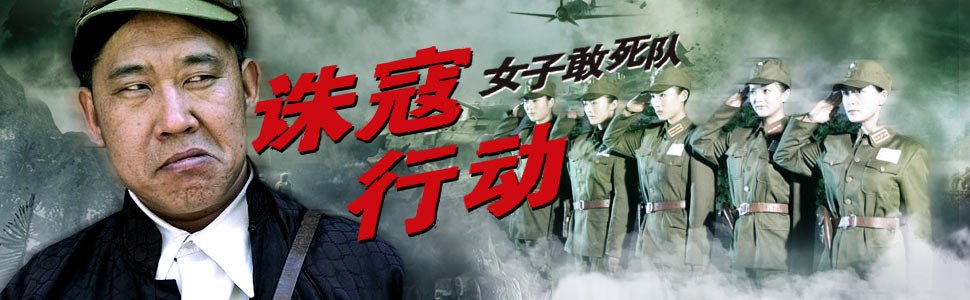 诛寇行动的剧情介绍