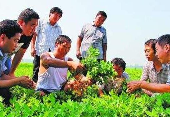 合作社如何取名？