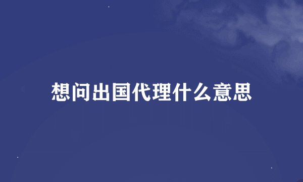 想问出国代理什么意思