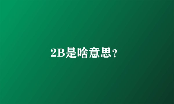 2B是啥意思？