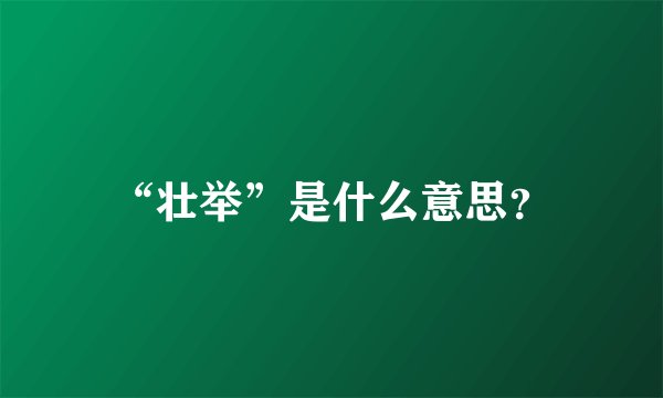 “壮举”是什么意思？