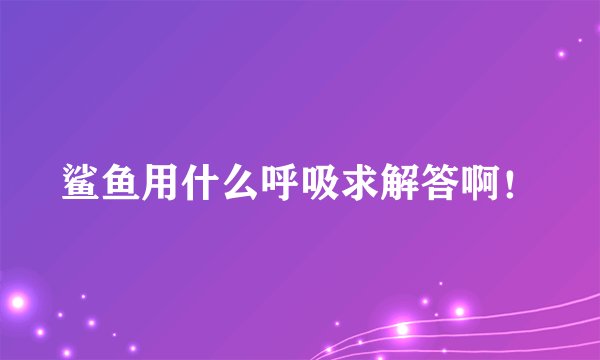 鲨鱼用什么呼吸求解答啊！