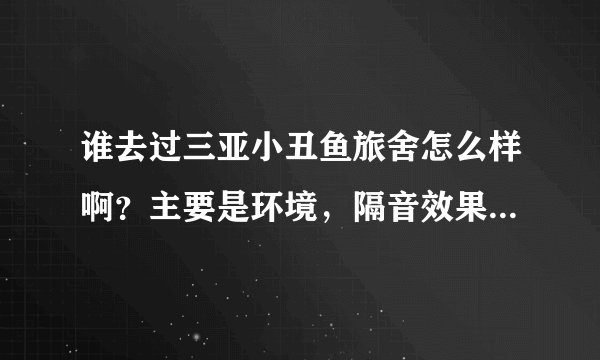 谁去过三亚小丑鱼旅舍怎么样啊？主要是环境，隔音效果，干净吗？他们家上网速度怎么样？那个房间好?