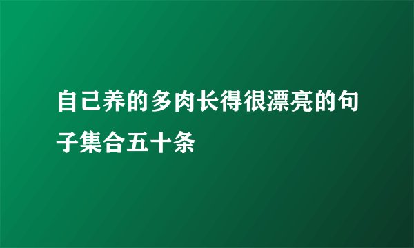自己养的多肉长得很漂亮的句子集合五十条