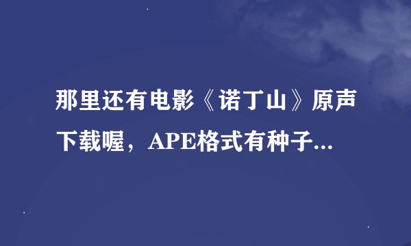 那里还有电影《诺丁山》原声下载喔，APE格式有种子能下的？