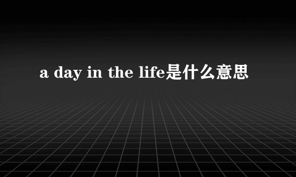 a day in the life是什么意思