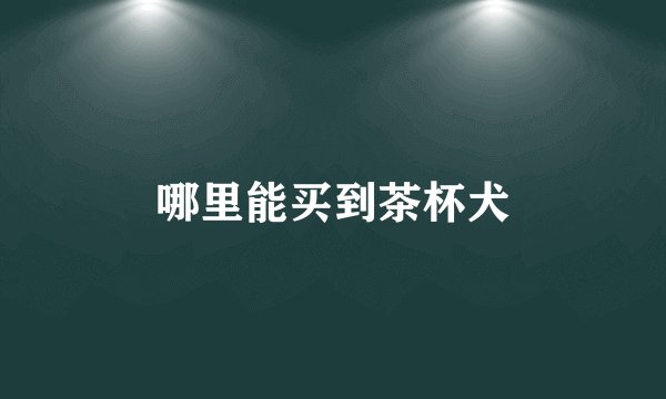 哪里能买到茶杯犬