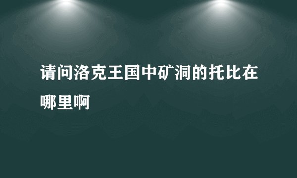 请问洛克王国中矿洞的托比在哪里啊