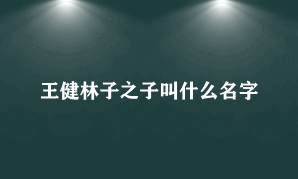 王健林子之子叫什么名字