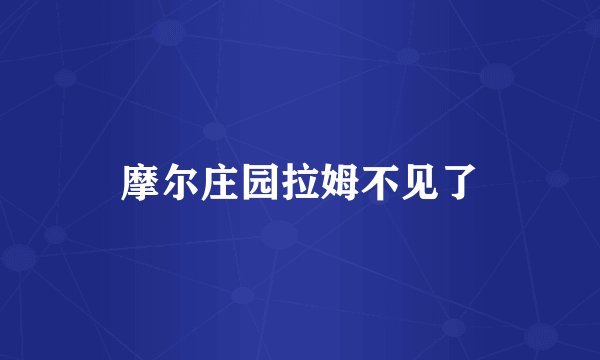 摩尔庄园拉姆不见了